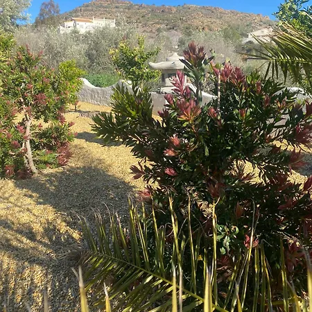 Bed & Breakfast Cortijo Corazones *